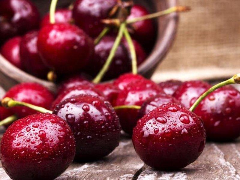 Вишня купить саженцы из питомника в Биробиджане